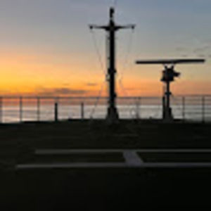 Meet your Posher, Bee